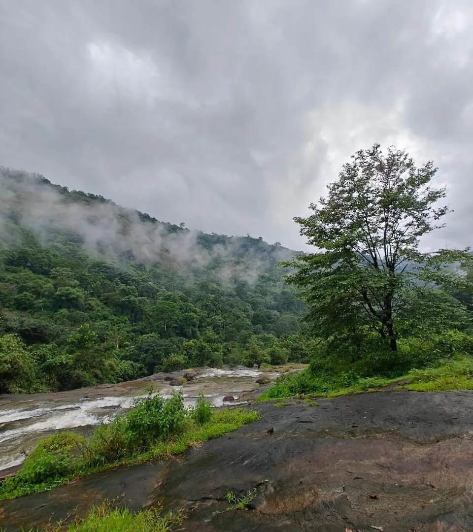 The Serene Cottage Viripara India